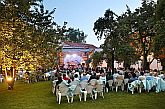 30. července 2004 - ASPM – Jan Spálený a přátelé - Černý blues, modrý vidiny, Mezinárodní hudební festival Český Krumlov, zdroj: © Auviex s.r.o., foto: Libor Sváček 
