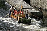 Scenic cruises 
