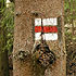 Wanderwege