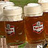 Pivnice - Hospoda - Krčma
