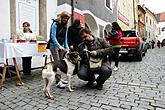 Dobročinný bazar pro zvířeta, Český Krumlov 20.11.2010 